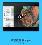 (二)属骨机
16
金開中心量 perimsil jeaif
1 江尾帮带 an0C克
D
四、盐筋關
批帳膜pelsie faaria
●(一)盆壁筋膜
O 17 盒號師辑 jarietal pelvle loeels
1 無前能膜preaacral faseie
19 點骨苗判桌转带palpaieidJ

◎(二)盐註基膜
0 3 监註結膜 +hceeal pelvie fasele
33 前到臨網Saseial sheath of pr
前列藤藤味品: prostatic vema
直師牌脫福mctoeical weptus
(女性为直縣開進隔 ecteeagin
精號閉遠隔 veilcovaginals
34 直品侧材号 latenl meetal ligmn
3 五、盐航膜间線
(一)製骨后薯

8盆脏筋膜.mp4

05:37