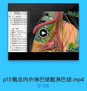 陳肤静脉品 vesical vo
前到線静林品 prostat
●(三)淋巴引流
48 1.服外淋巴结 eodernal Tia
49 2.臨内淋巴结 intemal Wng
50 3. tE Efa sacral lymph
51 整总淋巴址common iliae 1
(四)神经
52 1& lumbar plexus
53 MHE F lumbosacral trunk
54 Mi Al sacral plexus
55 NI.lA coccygral pimus
56 腰交感干lumbar sympathef
57 無交感干sacrall sympathet
58奇神经节 ganglion impar
59 上腹下丛wuperior hypegasti
60 左,右下随下Kinferior hyp
61 盐内脏神经 pelvic splanch

p13髂总内外淋巴结骶淋巴结.mp4

01:05