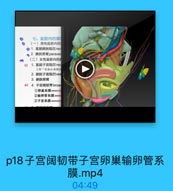 七、盆腔内的膜
(一)男性盆腔内的
◎1.直肠膀読陷凹rec
· 2.請就旁窝paraveg
(二)女性盆腔内的时
62 1.直肠子宫陷凹rec
又称“道格县斯粒[
2. 請就子宫陷凹ves
3.膀胱旁窝
63 4.子宫阔韧带 broad
1卵巢系膜mesova
2输卵管系膜meHQ
3子官系膜mesomt

p18子宫阔韧带子宫卵巢输卵管系
膜.mp4

04:49