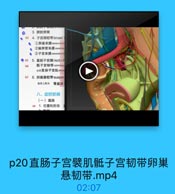 3.膀読旁窝
● 63 4. 子宫偶韧带broad
界巢系膜 mesovarit
· 2输卵管系膜mes08a
●3子宫系膜 mesometr
●65 5.直肠子宫骤rectout
66

龍子宫韧带 uterosac
也称直肠子富Mrecte
67 6.卵巢悬韧带susper
临床上称为
骨盆漏
八、盆腔脏器
(一)直肠
69
1.位置和形态

p20直肠子宫襞肌骶子宫韧带卵巢
悬韧带.mp4
02:07