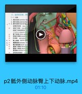 六、盐部的血管、淋日
(一)动脉
1. 體总动脉common iliad
2. 信外动脉external Nac
: 25 3. 内动綠intemal iliac
旋略深动脉 deep ilin
龍壁下动味 inferioe op
[版壁下幼詠]社骨支
of inferior epigastric arter

:27

費下动脉 inferior glutes

2E

調部內动脉 internal pu

29

肛动脉 anal artery

30

臀上动脉 superior glutm
儲腰幼誌 llolumbar arter

0 41

42

低外倒动脉 lateral sacra
直肠下动脉 inferior rel
勝肤下动脉 inferior ym
动脉 umbilical arlury

11

[所动脉]团塞部 oc:u

p2骶外侧动脉臀上下动脉.mp4

01:10