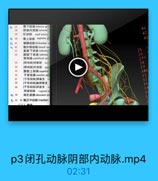 23

醫下动味 inferier gli

21

開部內动脉 internal

41

29

肛动脉 anal artery

47

0 30

臀上动詠 superior gi

43

精腰动味 folumbar an

5 43

低外侧动脉 lateral sao

31

直肠下动脉 inferior

25

膀胱下动脉 inferior

26

筋动脉 umbilical ari

27A

[餅动脉]闭塞部 0C

28

34

[時动時]开放部 paie

29

35

牌胱上动脉 superict

305

36

子言动脉 uterine arin
【子宫动淋]卵巢支 (
【子宮动脉]输卵管支
【子宮动聯]開道支
明道动縣 vaginal ar

04

闭孔勒M obqurator art

3

6 43 4.配正中动脉median

p3闭孔动脉阴部内动脉.mp4

02:31