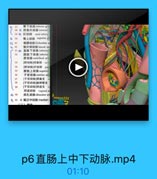 0
27

臀下动點 inferior glu
21 6 阴部內动脉 internal
21 ◎ 紅动脉 anal artery
0 30

u上动脉 saperior

0 41

落要动味 ilolumbar ai

42

無外侧动脉lateral sar
31(o 直肠下动脉inferior

32

膀號下动脉 inferior
脐动脉 umhbilical arie

33

[餅动脉]闲塞部 0C日l

34

[時动酥]开放部 pale
膀晚上动脉 superice

36

子宫动脉 uterine arte
[子宮动味]师巢支
[子官动時]输卵管支
【子富动脉]開道支
期道动脉 vaginal ar
闭孔动脉 obturator art
6 43 4.低正中动脉median

wwoccx333

p6直肠上中下动脉.mp4

01:10