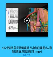 (二)静脉

44

露内静脉 imernal iliac v
直脑静酥品 rectal veno
直肠內静味品 internals
直肠外静脉品 exhernal
V1AS LMPAA superior
AM FRA inferior re
糖肤静脉品 vesical ven

47

前列線静酥丛 prostatic
(三)淋巴引流
45 1. 糖外淋巴結 exdtornal liac
49 2.内淋巴结 intemnal ilac
50 3 NENBis sacral lymph
51 路总淋巴站 common iliae ly
[四)神经

CONG

52 M#46 lumbar plexus
53 MEIE T lumbosacral trunk
54 ME &A sacral plexes
55 尾品 coeeygeal plecus

p12膀胱前列腺静脉丛骶前静脉丛直
肠静脉侧副循环.mp4

02:28