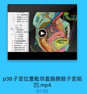 (五)输精管盐部、

85

输精管 duetus defen

品6

射精管ejaculatory
精R seminal vesiele
(六)子宫
干宮 uteris
1.位置与歐邻
2.血液供应、淋巴引油
税(1)子宫动脉:
(2)子宫静脉:
(3)淋巴引流:
43 子官角底体颈淋巴
14 子富旁淋巴结 paraute
85 露总淋巴结 common
易 腹股沟浅淋巴结
supe
a 度股沟深淋巴结
deen

p40子宫淋巴引流.mp4

04:37