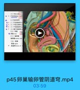 (4)神经支配:
0 9 子宫阴道丛
3.子宫的韧带
09 (1)子官阀韧带hre
● 9 (2)子宫主韧带can
◎ %s (3)子宫圆韧带rou
◎ 9 (4)低子宫韧带ute
(七)卵果
◎界果ovary
(八)输卵管
输界管 uterine tube
(九)阴道
明道 vagina
阴道弯formix of w

p45卵巢输卵管阴道穹.mp4

03:59