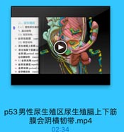 二、尿生殖区
(一)男性尿生殖区
1. 层次结构
(1)浅层结构:
10 会阴浅筋膜 supc
(2)深层结构
11 尿生殖照上筋膜su:
12 尿生殖膈下筋膜inf
会阴 膜 perineal mer
会明横韧带 transv
13 1)会阴浅腺superfi
14 会阴浅横肌 superfid
15 会阴动脉 perineal n
16 会明横动脉 transv

p53男性尿生殖区尿生殖膈上下筋
膜会阴横韧带.mp4

02:34
