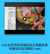 ● 18 会阴神经 perineal n
·阴囊后神经
post
( 19 2)会阴深隙deep
会明深横肌deep
20 尿道括约肌 sphinc
22 尿道球腺 bulbo u
23 尿生殖腸urogenitm
2.明囊
24 精索spermatic cord
25 阴囊scrotum
26 肉膜dartos coat
27 阴囊中隔scrotal sep
28 精索外筋膜 extemnm
29 精索内筋膜 interna
30 提率肌 cremaster m

wxxx333

p55会阴深隙深横肌尿生殖膈尿道
球腺括约肌深横肌.mp4

02:09