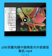 22 尿道球腺 bulbo 1
23 尿生殖開 urogenit
2.阴疆
24 精索spermatic cord
25 阴囊scrotum
26 肉膜dartos coat
27 期囊中隔scrotal so
28 精索外筋膜 exter
29 精索内筋膜intern
30 提率M cremaster
31 睾丸勒膜 tunica vag
3. 阴茎 penis
(1)层次结构

wE333

1)皮肤:

wioa333

:2)阳芙装飾購

NM13.com

YU CO-4/0 11 3.00

p56阴囊肉膜中膈精索内外筋膜提
睾肌.mp4

02:43