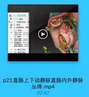 电八、盆腔脏器
(一)直肠
● 69 1.位置和形态 直
◎ 2.批邻
● 3.血液供应、淋巴
(1)动脉:

70

直肠上动脉
superior re
直肠下动脉
inferioe reo
(2)静脉:

71

直肠上静脉
直肠下静脉
superior n
inferior re

72

直肠静脉丛 rectal vene
直肠内静脉丛 intcrnal
直肠外静脉丛 external

73
(3)淋巴引流:
74
(4)神经支配:

p23直肠上下动静脉直肠内外静脉
丛痔.mp4
02:47