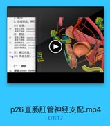 3.血液供应、淋巴
(1)动脉:

70

直版上动誌
superior re
直肠下动誌
inferior ree
(2)静脉:

wt

71

直肠上静脉
superior re
直肠下静脉
inferior ree

72

直肠静脉品
rectal venor
直肠内静脉丛
internal n
直肠外静脉品 exteral
3(3)淋巴引流:
740(4)神经支配:

3.c0m

(二)膀胱
75 膀胱 urinary bladder

p26直肠肛管神经支配.mp4

01:17