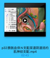 (二)膀眺
◎ 75 膀胱 urinary bladd
1. 位置与形态
◎ 2. 毗邻
3. 血液供应、消
76

(1)动脉:

77

(2)静脉:

78

(3)淋巴引流

79

(4)神经支配:
(三)输尿管盆吉
80
1. 输尿管盆部
81 2. 输尿管壁内部
82
(四)前列腺

p32膀胱血供N支配尿道阴道括约
肌神经支配.mp4
02:43