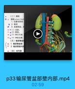 (二)膀胱
0 75 MB urinary blado
1.位置与形态
2. 毗邻
3.血液供应、계
76◆(1)动脉:
77 (2)静脉:
78 ●(3)淋巴引流
79·(4)神经支配:
(三)输尿管盆音
8o 1. 输尿管盆部
81
2.输尿管壁内部
(四)前列腺

p33输尿管盆部壁内部.mp4

02:59