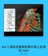 二、三角肌区及展
(一)三角肌区

。

三角肌区 deltoid regio
1. 浅层结构
2.深层结构
3. 三角肌deltold mu
4. 腋神经axillary ne
(二)肩胛区
肩開区 scapular region
1.浅层结构
2. 深层结构
(三)肌与肌腱袖
1.肌
59 2.肌腱袖musculote
(四)肩关节
三 冊动威网

a14三角肌区腋神经臂外侧上皮神
经.mp4

02:23