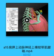 二、三角肌区及后
(一)三角肌区
三角肌区 deltoid regios
· 1. 浅层结构
· 2. 深层结构
● 3. 三角肌deltoid mu
◎ 4. 腋神经axillary ne
(二)肩評区
0 肩胛区scapular region
n 1. 浅层结构
2. 深层结构
(三)肌与肌腱袖
1.肌
59 2. 肌腱柚musculote
(四)肩关节
二、启册动脉网

a15肩胛上动脉神经上横韧带肌腱
袖.mp4

03:02