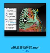 ◎ 4.腋神经axilary ne
(二)肩胛区
0 肩胛区 scapular region
n 1.浅层结构
2. 深层结构
(三)肌与肌肆袖
1.肌
◎ 59 2.肌鍵袖musculote
4(四)肩关节
4 三、肩即动脉网
60 肩評动脉网scapular m
61 1肩胛上动脉
622旋肩胛动脉经
63 3肩評背动脉

a16肩胛动脉网.mp4

01:45