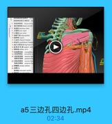 1
[圖肩峰动酵]三角肌支 del
6 與肩峰静酥 shoracoacwif
● 胸外侧神经lateral pectomal
8 背國Mlatiasimin dorsi
·大圖證地料mj
10 小国Mfntes minor
It 南評下單 wbecapalaris
12 肩評骨~capala
13 =边 trilaberal fanmen
14 四边孔 qudrilatersil forsmen
15 时三头机长头 long heal of
16-监骨外科頭srgjcal neck
-17 號神語 aillary wenve
18 旋育評动酥 circumfless
13 旋肩坪静酥 circumllex.so
20 號臨前动脉 anlerior ham
旋射后动味 posterior hu
21 旋就前静排
anterior hum
旋监后費味 posterior ta
22 前银Meeratas anteriot
23 動骨品
動间机 intercostal mascle

a5三边孔四边孔.mp4
02:34
