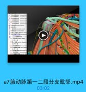 推 克肩評动酥
circumfles
19 套消神時味cinumflex so
● 20 捷肚前动酥
堂點后动酥
anerior hum
poserint hui
* 21 旋航前静縣 amerior hun
旋航后静脉
posterior hin
4y 22 前醫机 serralus uateriat
23 計骨rih
助间肌 imerrostall muscle
24 專點机 creacobrechialis
25 蓝二头凯长,短号men beada
26 监骨结节闻询intertubercul
◎(二)最背約內容
27.1.廠动脉axilary artery
(1)第1段
2 胸上动酥 wsperiar tharacie
(2)第2段
29 胸肩峰动味thoracnecsoml
30 2詢外侧动話 lateral thoea
(3)第3段
31-1肩牌下动脉 sbncapular
31* 陶背动酥 thancodonsall
pcx333
17 內物誌后幼M gosterier us

a7腋动脉第一二段分支毗邻.mp4

03:02