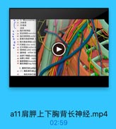 0
35 3 11% brachial p
36 内侧東
37 外側東
后東
-38 外侧神经
39 肌皮神经 musculoct
-40 胸内侧神经medial
D-41 前臂内侧度神经
0 42 臂内側皮神经 medi
· 43 尺神经 ulnar nerve

O

-44 正中神经median m
45 桡神经 radial nerve
45 旅神经 axillary ne
47 肩界下神经subwc
48 肩評上神经 Supra
49 胸背神经thoracodoe
50 胸长神经long thom
4. 臉淋巴结 axillan
51(1)胸肌淋巴结pe
52

胸机间淋巴结

a11肩胛上下胸背长神经.mp4

02:59