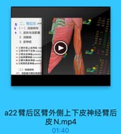 15 23
38 400
A& ATa

二、臂后区 pos

4d8 8a

(一)浅层结构

02 0

Se
TS

。
1. 皮肤与浅筋膜

Ee

2. 浅静脉

pe AT
+2 AE
2e 21 22 2

3. 皮神经

de at a2
aE

Be

+11臂外侧上皮神经 supe

e2

12 2臂外侧下皮神 infcrio
$33臂后皮神经 posterior
14 4动间臂神经 intercostot

H

95 5臂內側皮神经 medial
96 6前臂后皮神经 posteri
(二)深层结构
971.深筋膜与臂后骨筋

a22臂后区臂外侧上下皮神经臂后
皮N.mp4

01:40