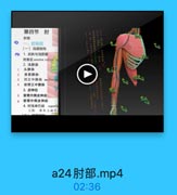 第四节 肘

特特04=40%#5处#16扫3드

肘部
一、时前区
(一)浅层结构
1.皮肤与浅筋围
肘前区 anterior eubital re
2. 浅静脉

1

头静脉

2

贵要静味:

3

肘正中静林 medlan (33

4

前臂正中静脉
3. 皮神经

5

前臂内側皮神经
6 前臂外側皮神经:
4.肘浅淋巴结
superfis
又称 清车上淋巴

a24肘部.mp4

02:36