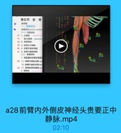 第五节 前 臂

北5日車热社

前臂部
一、前臂前区
前情前区 anterior antelirar
(一)浅层结构
27 1.头静脉
74

副头静味
accessory
28 2.贵要静脉
29 3.前臂正中静脉
30 4.前臂外側皮神怪
31 5. 前臂内侧皮神经
(二)深层结构
1.深筋膜和前背前背鮮
-32(1)前質内侧肌网隔med
(2)前費外侧訊间落later
-33(3)前臂前骨基膜輔ante
2. 前群肌

a28前臂内外侧皮神经头贵要正中
静脉.mp4

02:10