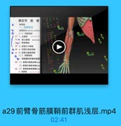 第五节 前 臂

35

76 96

前情部
一、前臂前区

39 59 71 990

前臂前区 anterior antebran
(一)浅层结构

141

27 1.头静除

2 43

74● 副头静脉 accessory

24 44

28●2.贵要静脉
29 3.前臂正中静脉
Q30 4.前臂外侧皮神经

1030

◎ 31 5.前臂内侧皮神经
◎(二)深层结构
◎1.深貼膜和前彎前骨訪
32 (1)前臂内侧肌间隔med
(2)前臂外侧肌间隔laten
33 (3)葡背前骨站膜新ants
2. 前群肌

a29前臂骨筋膜鞘前群肌浅层.mp4
02:41