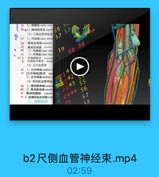 35 2) 61M0 Bkradial vein

36●3)機神经浅支superf6
(2)尺侧血管神经束
1)尺动脉ulmar artery

37
57

37
38

骨间总动脉 commont

39
骨间后物酥 postersor

40

2) RMlk ulmar vein

39

60 80

41

3)尺神经 ulmar ner

73 a

尺神经肌支 muscull

b
尺神经手背支 dorsal
(3)正中血管神

47
1)正中神经=edian n
72[正中神经]肌支 m证
2)正中动脉median

x333 4

(4)骨间前血管神经

242

43 1)骨间前神经anteric

55

69 2)骨间前动脉anterio

23 43

70 骨间前静脉 anterio
53 4.前臂用肌后问隙post

3

2444 56

二、前臂后区

4

57

25

58

b2尺侧血管神经束.mp4

02:59