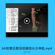 。(1)线层:
58
桡側腕长伸肌
59
桡側腕短伸肌
指伸肌 extenso

61
小指伸肌 exter
62
尺侧腕伸肌
ex

(2)深层

63

拇长展肌

abdo

64

拇短伸肌
exte

65

拇长伸肌
exte

66

示指伸肌

exte

75
旋后肌 supina
3.骨间后血管神经
67
[桡神经]深支
-68
骨间后动脉

名

71
骨间后静脉

b9前臂后群深层展短长示伸肌.mp4

02:12