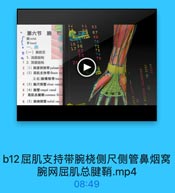 $1 63

7T

第六节 腕 和

67

B wrist
手hand

16

70

·一、腕

72

0(一)腕前区

17
36
37

73

oer

74

1.浅层结构

75

1 2.深层结构
2;1)豌掌侧韧带 palmar ci

科日林社社

3(2)屈肌支持带flexor ret
又名|腕横韧带 trans
4(3)腕尺侧管ulnar carpal
5(4)腕管 carpal canal
7 屈肌总腱箱common flexe
6(5)腕桡侧管radial carpn

b12屈肌支持带腕桡侧尺侧管鼻烟窝
腕网屈肌总腱鞘.mp4

08:49