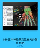 6. 神经

60

● ◎(1)尺神经 ulmar ner
L

64

70

56 1)尺神经浅支superf

wxxx333

46

57

指掌側固有神经p

72

47

58

指堂側总神经con
-[尺神经]指掌側图有

J CONU-Y13.com

59

palmar digital nerves

1535

Sey

6002)尺神经深支deep1
◎(2)正中神经median
[正中神经]返支

13

61

14
34

67

[正中神经]内侧支

5 35

[正中神经]外側支

39

18

63

[正中神经]指掌劑
palmar digital nerv

2040

64

[正中神经]指掌侧
palmar disital nerv

vxxx333

E3

b26正中神经掌支返支内外侧
支.mp4

03:02