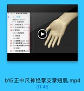 a(2)腕伸肌龍及脆箱
二、手掌
手掌palm of hand
(一)浅层结构
16 1.尺神经掌支
17 2.正中神经掌支
18 3.掌短肌
(二)深层结构
1.深筋膜
(1)浅层
19 1)掌建膜 palmar aponei
20 2)鱼际筋膜 thenar faser
21 3)小鱼际筋膜hypothen
(2)深层:
22 1)骨间掌侧筋膜palmnr

b15正中尺神经掌支掌短肌.mp4

01:46