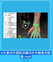 17 2. 正中神经掌支

10 30 50

18 3. 掌短肌

1131 51

63

0

(二)深层结构
1.深筋膜

12

S2

67

(1)浅层

13

68

D19 1)掌腱膜palmar apo

1434

70

7B

20 2)鱼际筋膜thenar fe
21 3)小鱼际筋膜hypoth

15 3

(2)深层:

16

22 1)骨间掌侧筋膜palm

17

74

23 2)拇收肌筋膜:

35

75

2. 骨筋膜鞘

39

24 掌外侧肌间隔lateral
25 掌内侧肌间隔medial

20 40

26(1)外侧骨筋膜南
27 (2)中间骨筋膜勒

N4,0x333

b16掌内外侧肌间膈内外中鞘骨间筋
膜.mp4

05:20