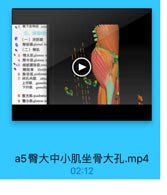 ●2 餐下皮神经 infe
三,深层结
●(一)深筋膜
◎ 臀筋膜 gluteal fa
(二)臀机
· 3 青大肌 gJuteus 可
4 臀中肌 gluteus :
●、5 陶筋膜张肌tens
● 韩胫束 iliotib
6 梨状肌 piriformit
7 闭孔内肌 obtu
上开肌 gemellu
下开机 gemell
8 股方肌 quadratus
9 臀小肌gluteus m

a5臀大中小肌坐骨大孔.mp4

02:12