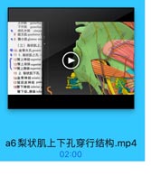 EffIL gemellus
下开机 gemcllus
●闭孔外肌 obtura
8 股方M quadratus 1
●9 臀小肌 gluteus mir
(三)梨状肌上、
10 坐骨大孔 greater
● 11 1.梨状肌上孔
12臀上神经superior

13臀上动脉 superior

14臀上静脉superior
15 2. 梨状肌下孔
16坐骨神经 sciatic
17股后皮神经 post
18臀下神经 inferior

S

臀下动、静脉infe

a6梨状肌上下孔穿行结构.mp4

02:00