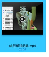 ♡ 第三节 股
一、股前内侧区
(一)浅层结构
1.浅动脉
2. 浅静脉
26 旋浅动脉 superi
旋體浅静脉superff
27 腹壁浅动脉 superf
腹壁浅静脉 superf
28 阴部外动脉 exle
阴部外静脉 extern
30 大隐静脉great sap
31 股内側浅静脉supo

a8股部浅动脉.mp4

02:04