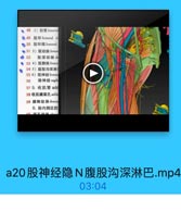 ● 48 2) 股管femorn
◎ 49 股环 femornl ni
◎50 股环隔 femonl
●51 3)股动脉femon
● 52 股课动脉d
●53 4)股静脉 femon
54 5)腹股沟课淋
55 6)股神经femor
56
隐神经saph
57 5. 收肌管 add
58 收肌腱裂孔 addu
59 膝降动脉desce
6.股内側区的

a20股神经隐N腹股沟深淋巴.mp4

03:04