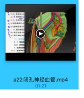 ● 55 6)股神经femd
56 隐神经snp

EtEpoce

0
57 5. 收机管 ad

EM

●58 收肌開裂孔 ado
· 59 膝降动脉desc
6. 股内侧区印
60 闭孔动脉obtt
61 闭孔掉经 obtu

AE

二、股后国
(一)浅层结
(二)深层结
1.后骨筋膜

d

62 2. 坐骨神经:

a22闭孔神经血管.mp4

01:21