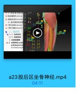 57 5. WUL i adducto
58 收肌脆裂孔 adductor
59 膝降动脉descendin

S

「A

6. 股内侧区的血曾

02

6

60 闭孔动脉 obturator
61 闭孔 神经obturator:
二、股后区

22

●(一)浅层结构
(二)深层结构

528 8

1.后骨筋膜鞘

8228 15

62 2. 坐骨神经sciatid
坐骨神经伴行动

03 a8 16

accompanying af

TE 17

ARS

a23股后区坐骨神经.mp4

04:11