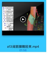 32 腹股沟浅淋巴线
4.皮神经
●33 髒腹股沟神经
34生殖股神经

DEss

股支 femoral

EES

●35 股外侧皮神经
◎ 股四头肌 qund
● 36 股神经前皮支

2

46
47

● 股神经内侧皮:

a

● 37 闭孔神经皮支

i 30

So

◎(二)深层结料

8

54

● 1.深筋膜

ci e 32 S5

闻筋膜fascin la
38(1)隐静脉裂子

33,56
LI 34857

筛筋膜

a13阔筋膜髂胫束.mp4

01:58