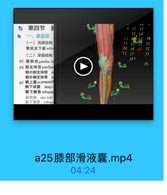 第四节 脚

e 32 SS

一、膝前区

33.56
A

70

(一)浅层结构

21 35 59

71

髒前皮下囊 subci

a1 36 60 72

(二)深层结构

FI 37

73

65 f ) patellar li

38A

66 髌支持带 patellar

75

髌内側支持带
髋外侧支持带
67 熊上囊 su prapatel
髌下深囊 deepi
髌下脂垫 infrapat
翼状裝 alar fold
館下皱號 infrapa

a25膝部滑液囊.mp4

04:24
