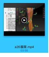 翼状装alar fold
8T 2a
02

7

能下装装 infra

es aa

8

二.
操后区

9

2a

厨窝 popliteal fo

28

122
SE

aa

68 1.境界

33

11

ra

69 2. 内容
(1)腔神经与排总神

IS eACE

Or T28AE

8a

Lw4

70 脱神经 tibial ner
71 腓肠内側皮神经
72 腓总神经commt
73 腓总N关节支 arti

25

74 腓神经交通支c
75 腓肠外側皮神丝
76 腓肠外侧皮神经
communicating b

a26胭窝.mp4
03:56