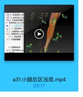 5
(2)胫前静脉anter

0E 16
TE 17

6 (3)腓课神经deep
7●2.外侧骨筋膜箱

2r

A8F

AS

8 腊浅神经superficia
◎二,小腿后区
●(一)浅层结构
9 1.小隐静脉small
10 2. 腓肠神经sural
(二)深层结构
11 1.后骨筋膜鞘

2. 血管神经束
14(1)脱后动脉poster

a31小腿后区浅层.mp4

03:17