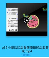 91.小隐静脉smal
10 2%腓肠神经sural
●(二)深层结构
11 1.后骨筋膜箱

2. 血管神经束◎
14(1)股后动脉posts
12 腓动脉 peroneal ar
13 交通支 commun
15(2)胫后静脉poste
16(3)歷神经tibial n
第六节 踝

a32小腿后区后骨筋膜鞘胫后血管
束.mp4
05:06