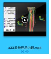 9、1.小隐静脉smal
10 2%誹肠神经 sural
●(二)深层结构
11 1.后骨筋膜鞘

2. 血管神经束 ◎
14(1)脱后动脉postr
12 腓动脉peroneal ar
●13 交通支 commun
●15(2)歷后静脉poste
O16(3)脱神经tibial n

1010

第六节 踝

a33胫神经足内翻.mp4

02:40