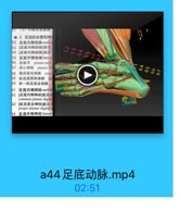 ● 2 足底的血管和神!
52 足底内侧动脉medi
53 [足底内侧动脉]深克
54【足底内倒动肺]浅支

52
53

55 足底外侧动脉Iateral

S4
SS

S6

56 足底号 plantar arch
57 足心动脉 plantar mi

53

58 -足底总动酥 comi

64

655

59
址足底固有动脉
50 第一站足底总动脉
61 足底内侧神经medial
52 [足底内侧神经]址足油
common plantar digita
63【趾足底总神经]址足用
proper plantar digital n
54 足底外侧神经lateral

a44足底动脉.mp4

02:51