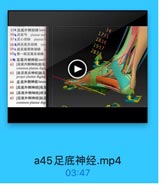 55 足底外側动脉later

34

56●足底弓 plantar arc

173S

57 足心动時 plantar

1836

58●站足底总动酥 00克

1937

59、址足底固有动購

2038

60●第一跖足底总动脉
6章 足底内侧神经 medi
62 [足底内侧神经]趾足
common plantar dig
63 [趾足底总神经]趾足
proper plantar digital
64 足底外侧神经latera
65 [足底外側神经]浅支
66 [足底外侧神经]深支
67[足底外侧神经]趾定
common plantar digi

a45足底神经.mp4

03:47