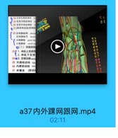 ◎ 18 足背外侧度神经 1ml

/19足背内開度神经

くと

(20 足背中间皮神经

8€

◎ 21[啡深神经]批背神经
22足背静味网
dorsal
足背静脉号 dorsa
大隐静味 great sag
小隐静酥 small sa
◎(二)深晨结构
231.伸肌上支持带
〔2 伸肌下支持
24@3.足背动脉dors
25 外課前动脉 latc

O

26 内踝前动脉 mec

28

27 外踝支 [腓动用

a37内外踝网跟网.mp4

02:11