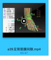 1

内課网 medial
◎34 弓状动脉

arCI

·35 跖背动脉

dor
● 36 趾背动脉[跖背礼
●37 足底深支 deep br

rEer

● 38 4. 肆深神经
Q 39 5.足背防膜间限

踝后

(一)浅层结
(二)深层结
40 1.課管 mallec
41 屈肌支持带
42 2.胖骨肌上、

a39足背筋膜间隙.mp4

00:47