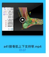 (一)浅层结
(二)深层结
1.踝管 malte

. 40

e 41
屈肌支持带
◎ 42 2.腓骨肌上、
排骨肌上支
酶骨肌下支
3.課关节的

43

内側韧带me

44

外侧物带late

45

距腓前韧帶n
距腓后制带

46

47

跟誹韧带 cal
三、足底

a41腓骨肌上下支持带.mp4

01:07